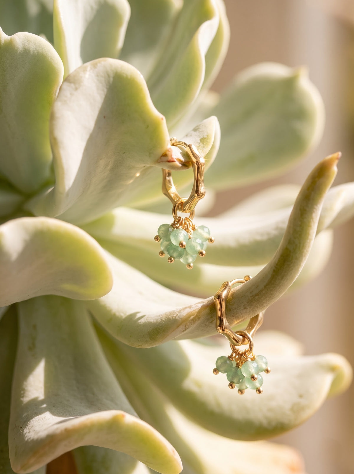 Gold dangle earrings with small light green gemstone clusters, shown hanging from the stems of a pale green succulent plant.