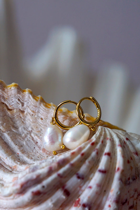 Gold earring with pearls on a seashell against a blurred natural background
