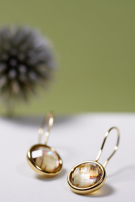 Abalone Iridescent  Multifaceted Dangle Circular Hook Earrings