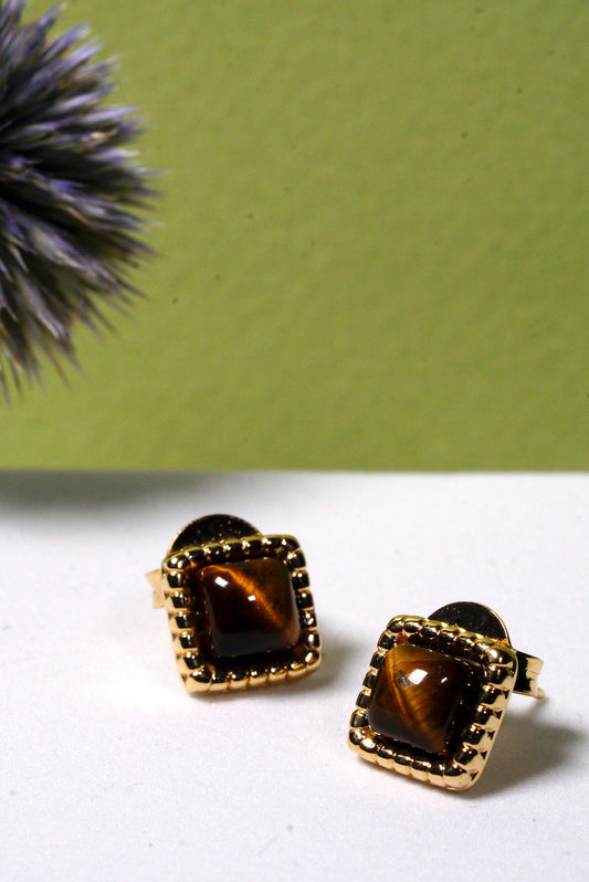 Hammered Gold-framed brown tigers eye gemstone earrings on a white surface with a green background